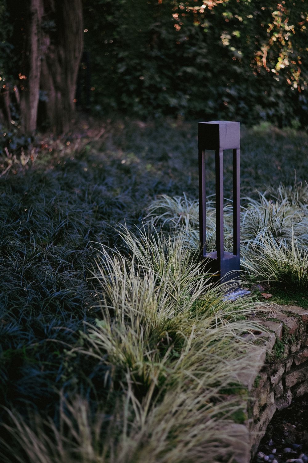 Modern low-voltage landscape light set among ornamental grasses at dusk