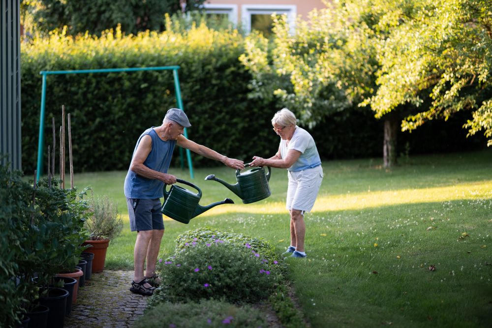 Homeowners watering a garden bed together in the evening