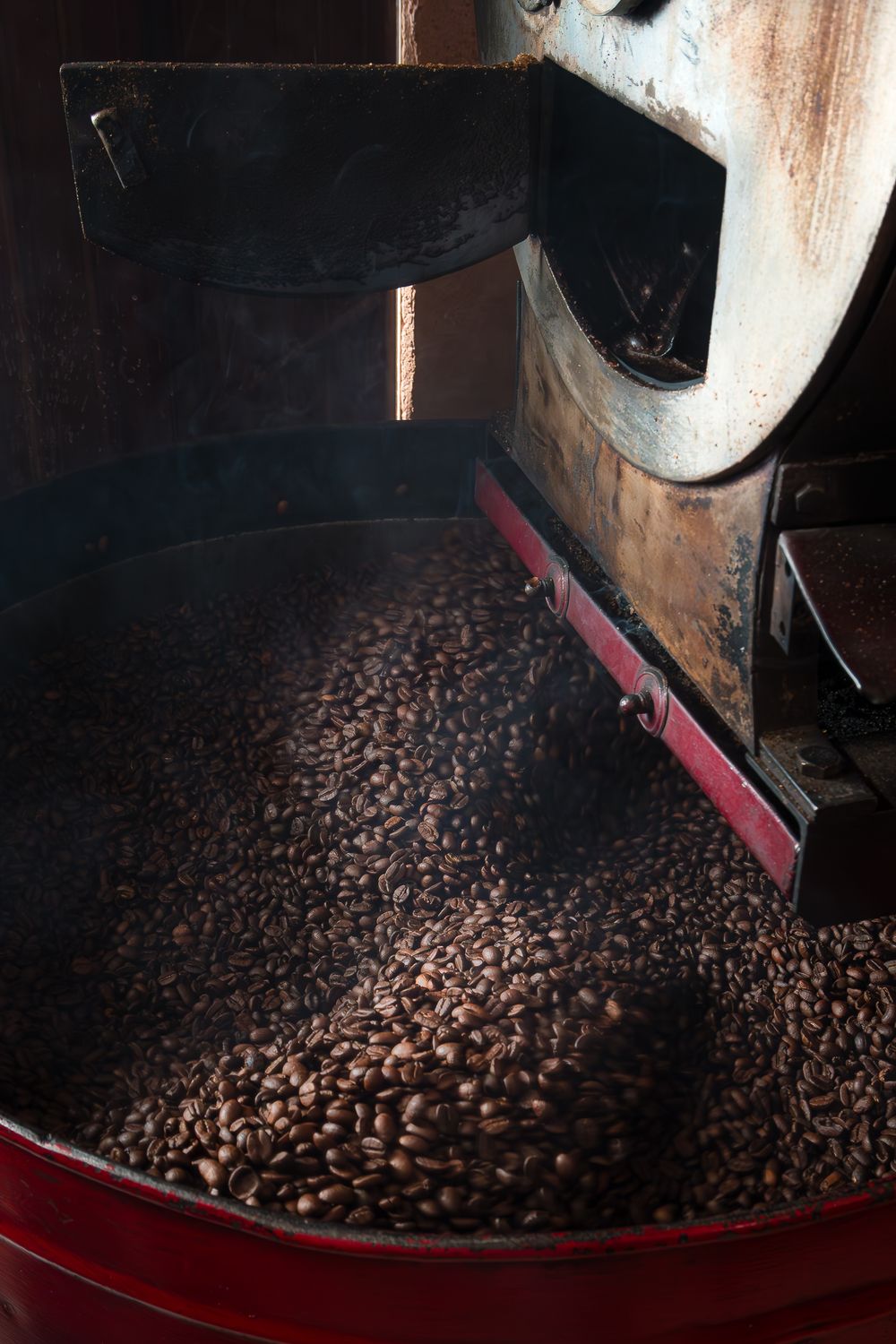 Vintage drum roaster discharging a fresh batch of roasted beans