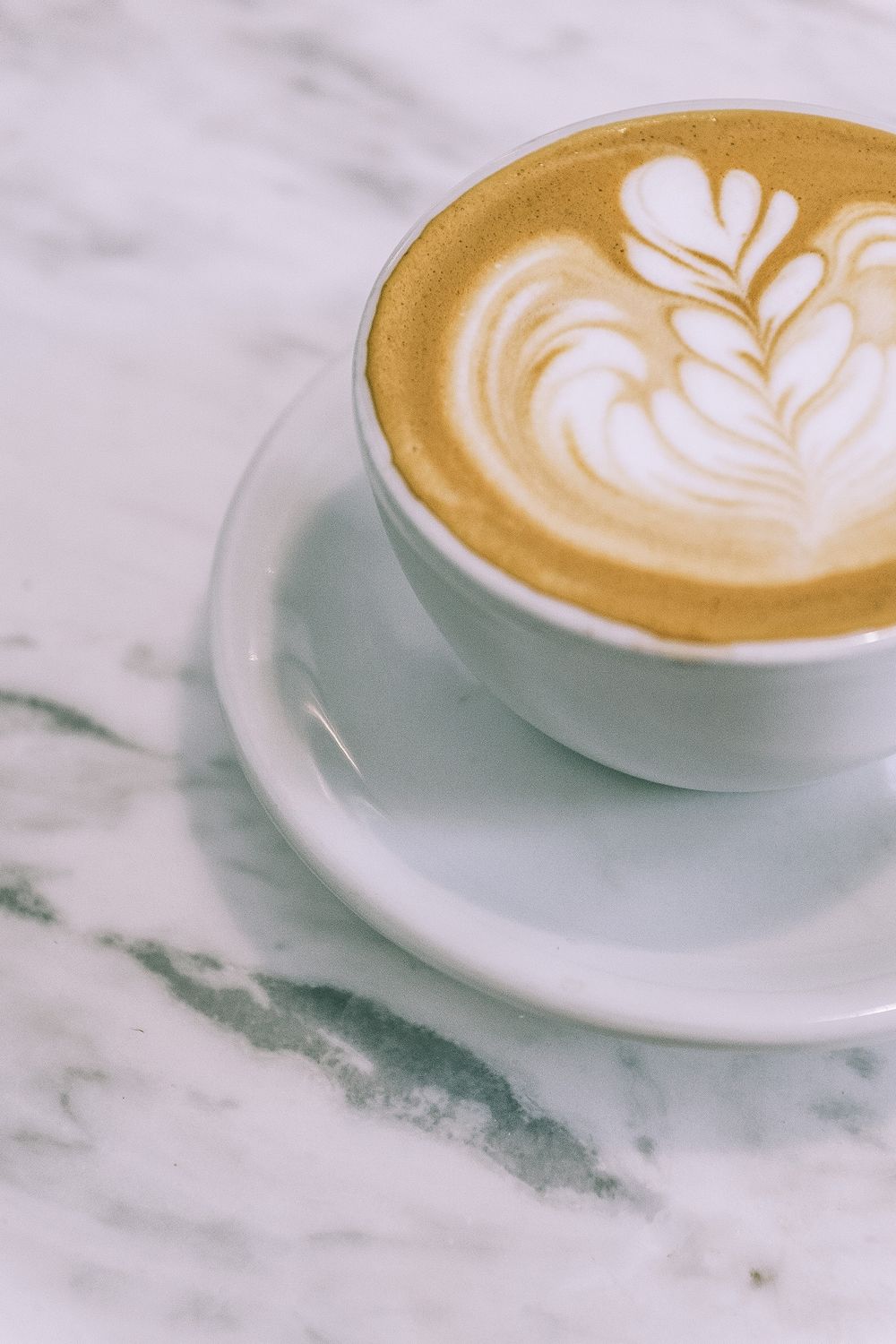 Latte with rosetta latte art on a marble counter