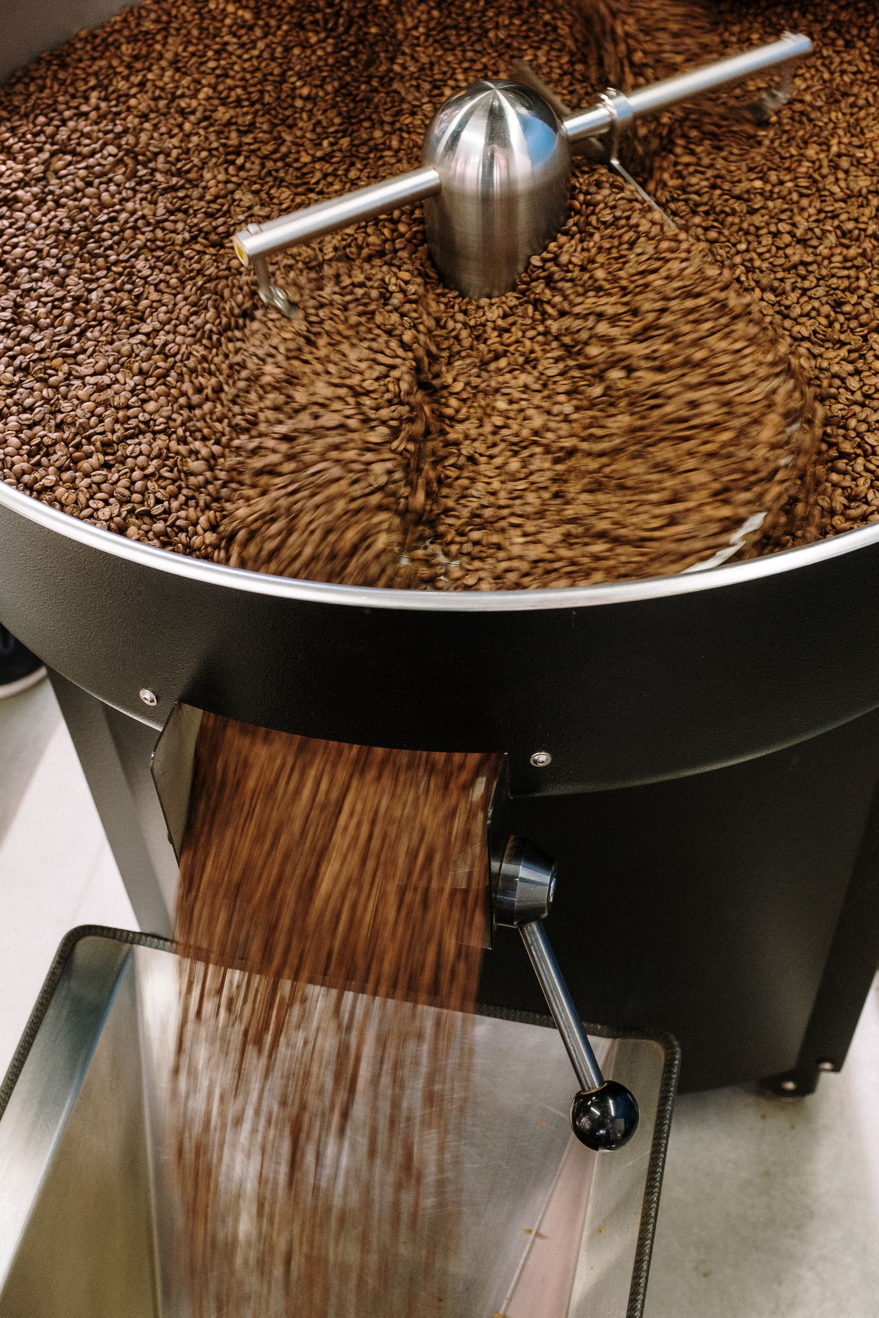 Freshly roasted coffee beans pouring from a modern drum roaster