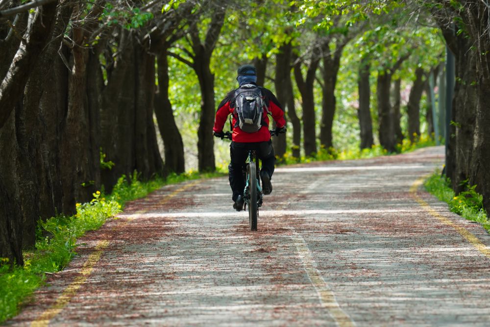 Cyclist riding down a tree-lined trail carpeted in fallen leaves